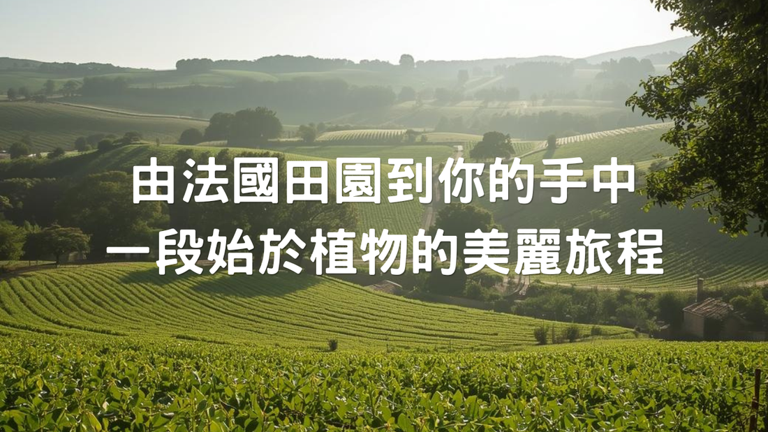 Centifolia品牌故事：由法國田園到你的手中，一段始於植物的美麗旅程