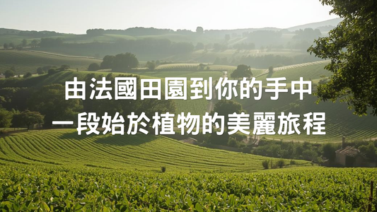 Centifolia品牌故事：由法國田園到你的手中，一段始於植物的美麗旅程