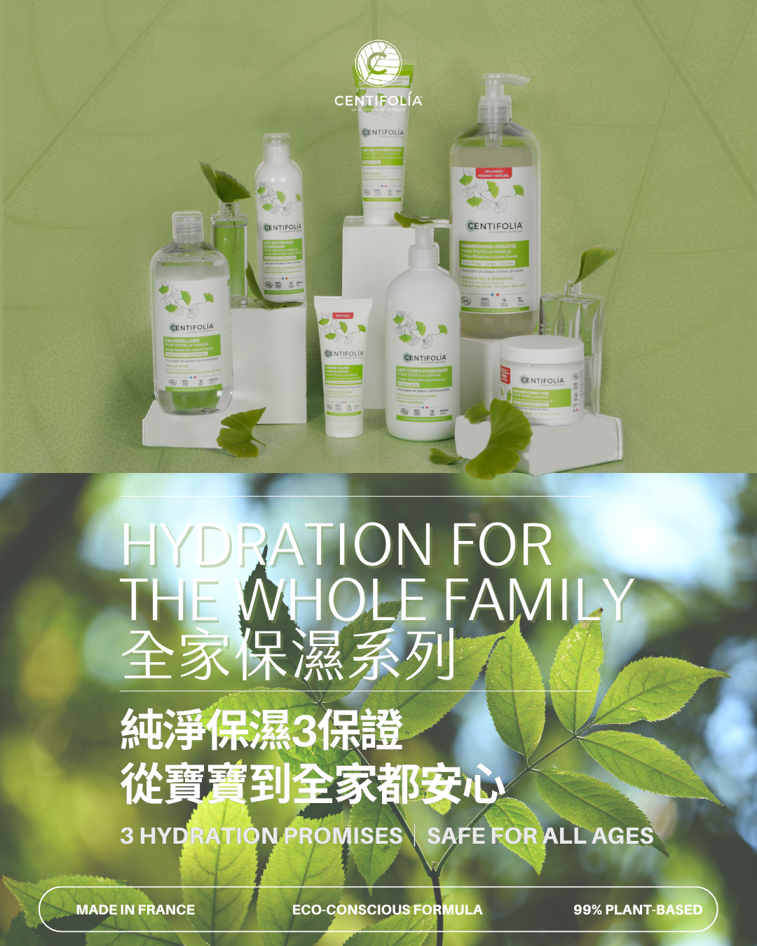 有機銀杏溫和保濕身體乳液 500 ml